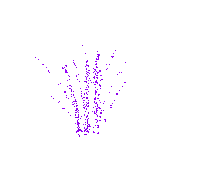 607.webp